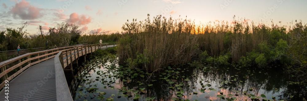 This image has an empty alt attribute; its file name is 1000_F_255443359_avipgxsi56CAp07O5oWSa9RiYebfNfZ.jpg
